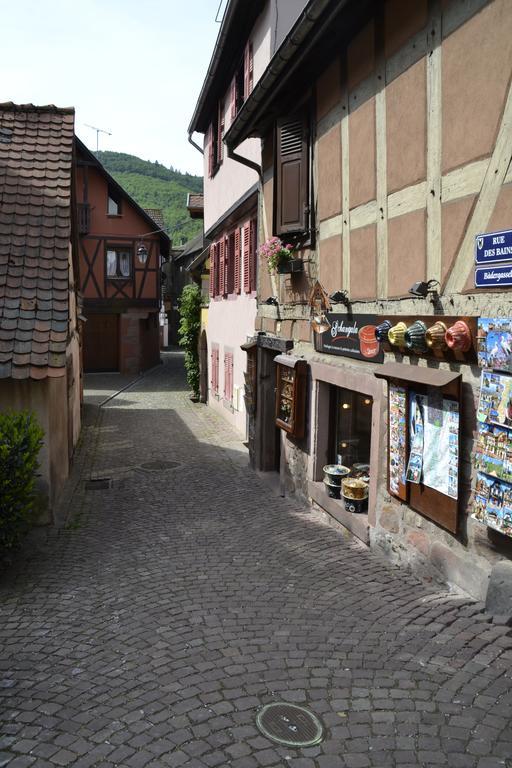 Gites Du Stekala Kaysersberg-Vignoble Pokój zdjęcie