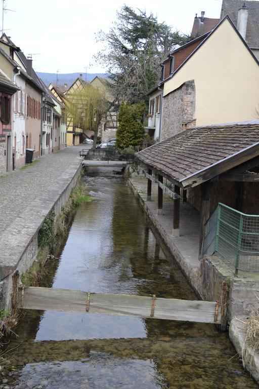 Gites Du Stekala Kaysersberg-Vignoble Zewnętrze zdjęcie